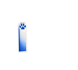 lapa-1